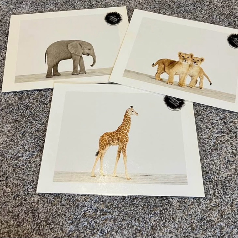 Nursery Animal Art Prints